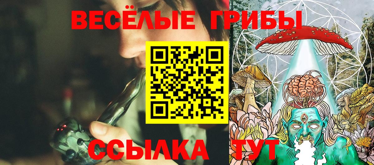 Псилоцибиновые грибы GOLDEN TEACHER Чебоксары